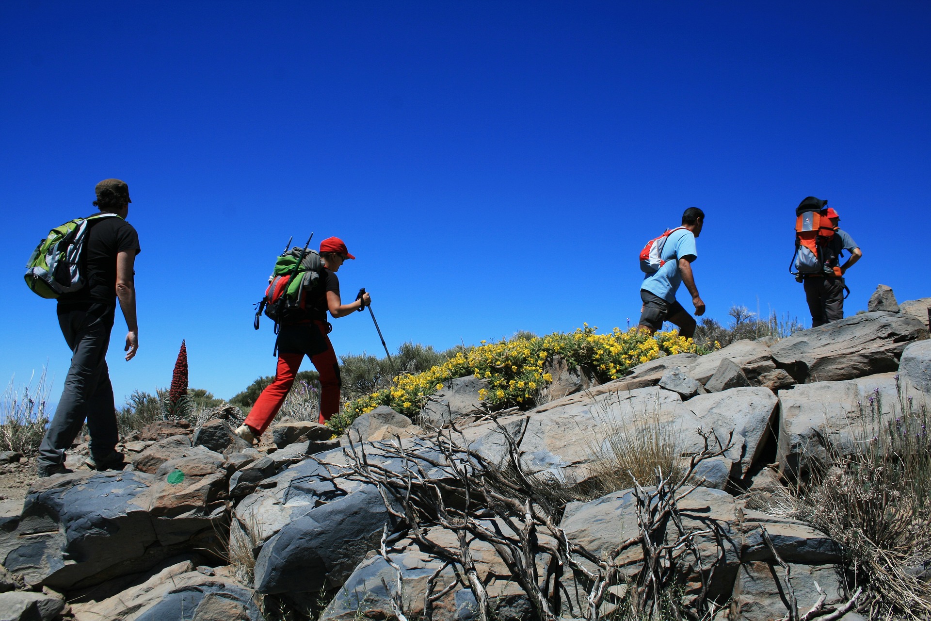 senderismo en el Teide