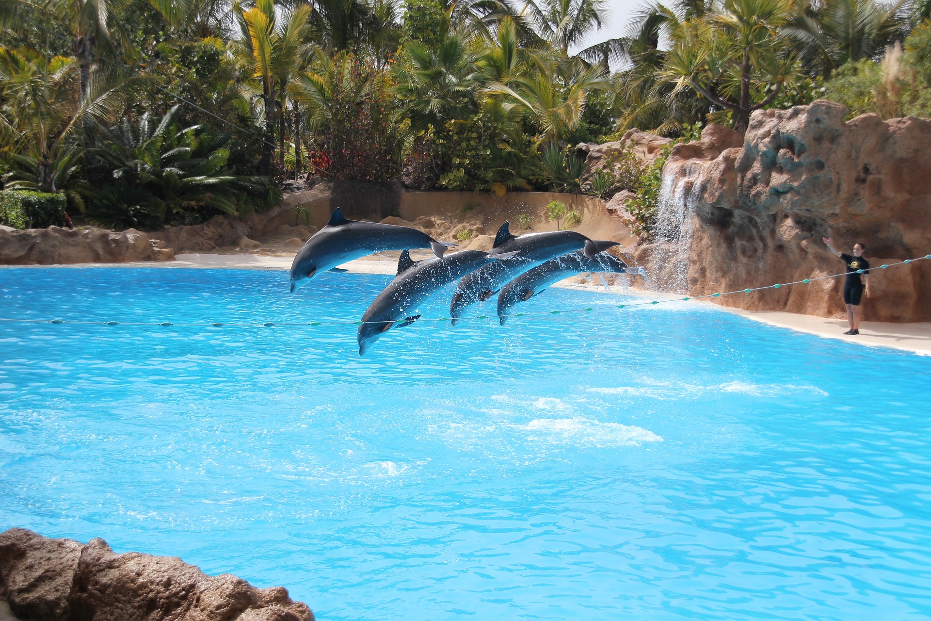 Loro Parque Puerto de la Cruz